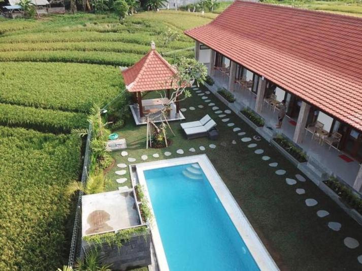 Rara Guesthouse Canggu Екстериор снимка